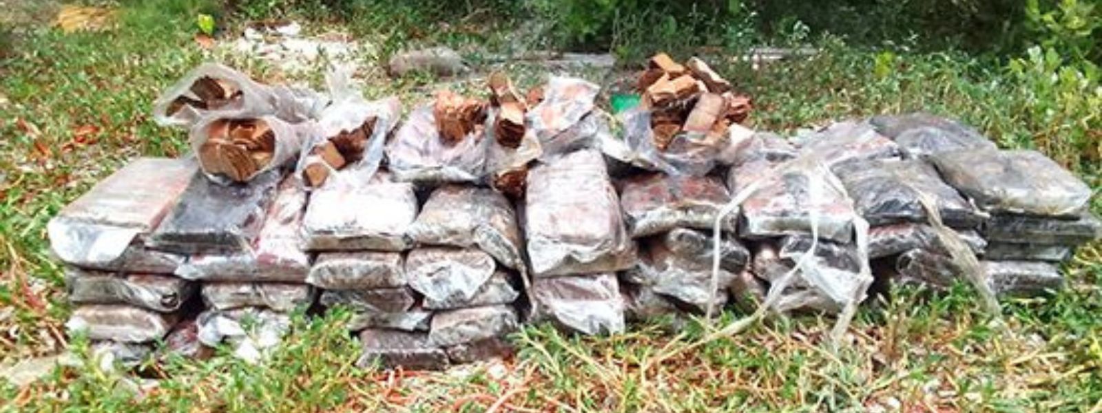 Approx. 46 kg of smuggled Tendu leaves seized